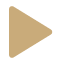 toggle icon